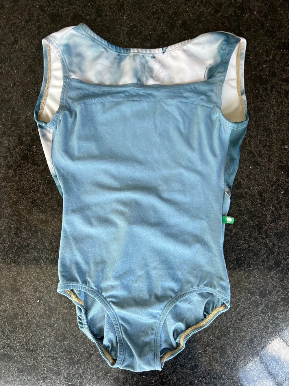 Luckyleo Blue Adult Small Leotard